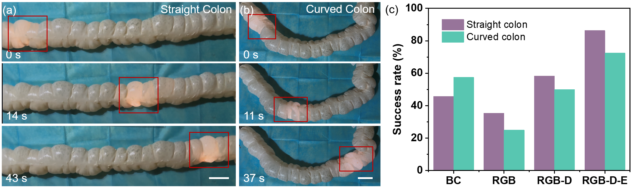 ColoACT success rate figure